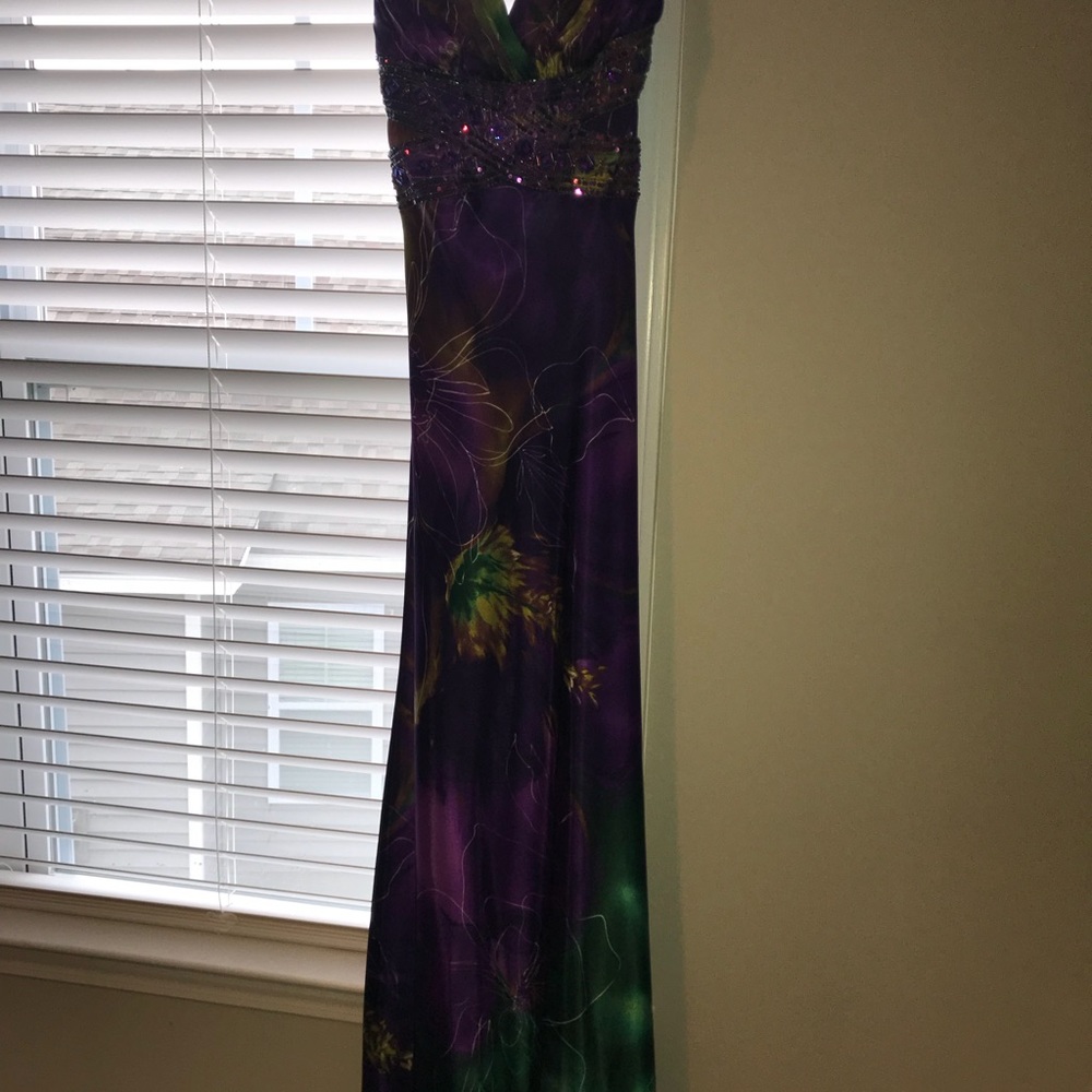 Evening Gown - Picture 9 of 11